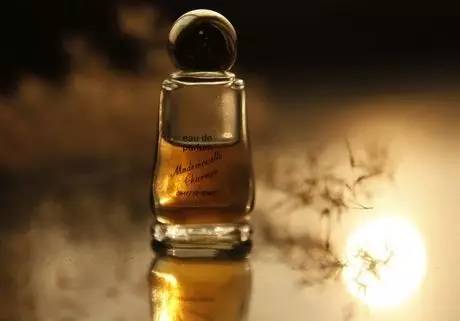 what?。俊跋恪逼G的美女成了辦公室污染源，甲醛治理非常必要！