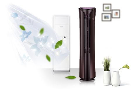 居家必備，三分鐘教您甲醛治理六大招！