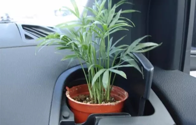 新車除醛，車內(nèi)除甲醛什么辦法***？