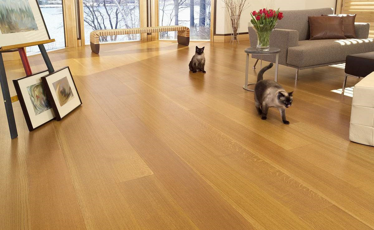 無法拆開、無法通風(fēng)！地板甲醛超標(biāo)怎么辦