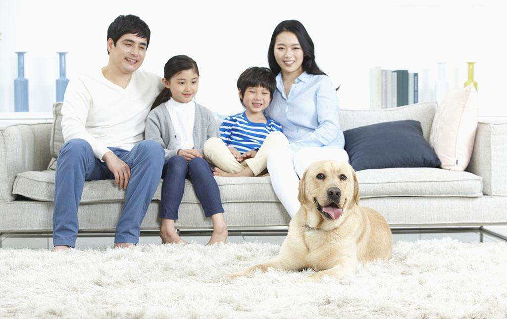 家里甲醛超標怎么辦，受污染影響的人群有哪些