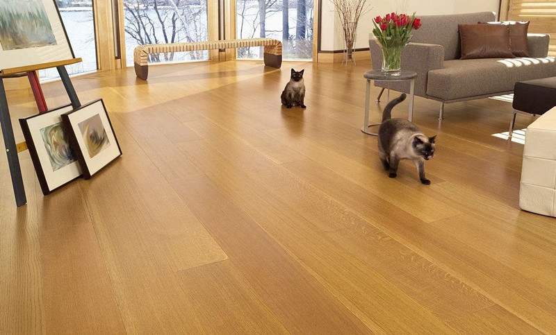 了解室內(nèi)甲醛超標怎么辦，把握自己的健康