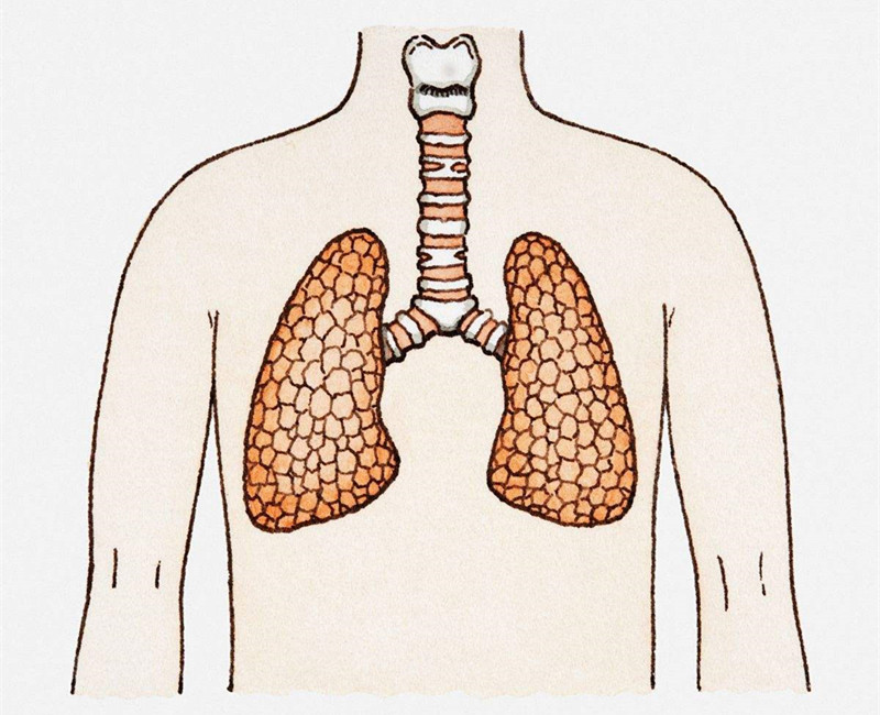 如何進(jìn)行甲醛治理？沒有治理過的空氣就像虐待肺