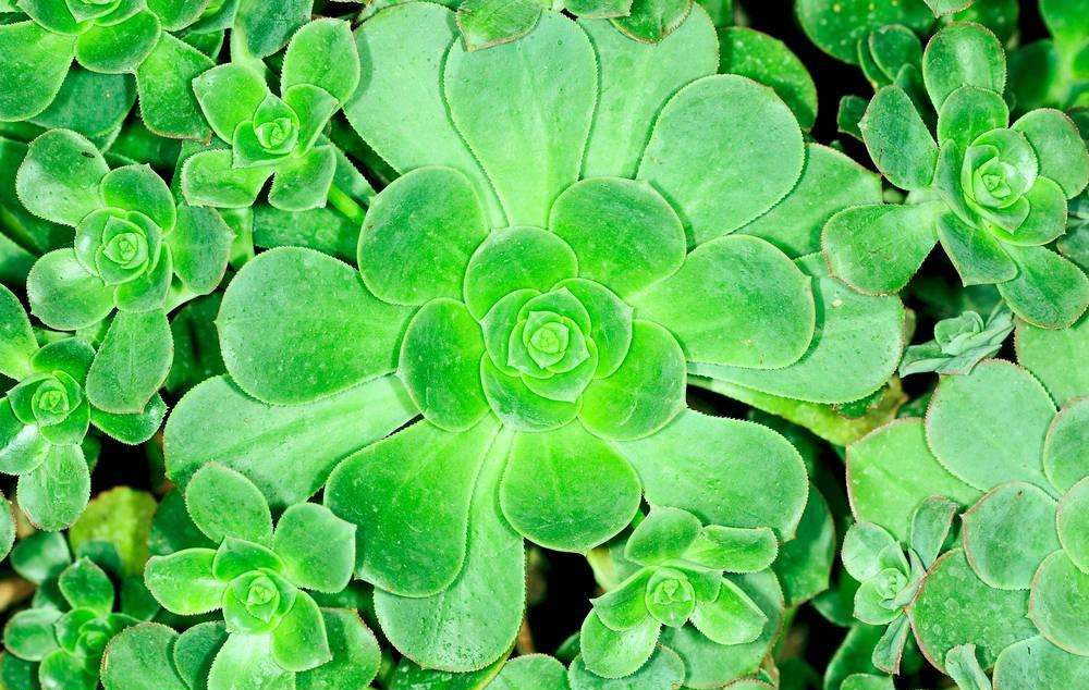 這樣去甲醛，您將親手“毀掉”自己的室內空氣環(huán)境，今天再忙也要看一下！