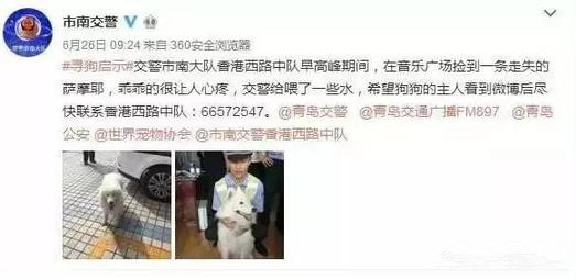 有問題找警察，薩摩耶派出所報案，不注意這件事，對狗狗致命，警察蜀黍卻幫不上忙！