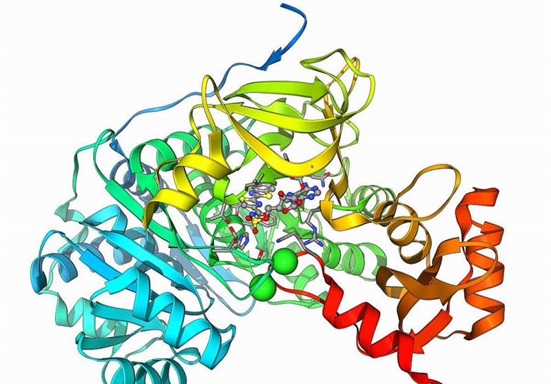 看了這個(gè)感覺(jué)甲醛治理很簡(jiǎn)單，甲醛治理***的辦法是什么