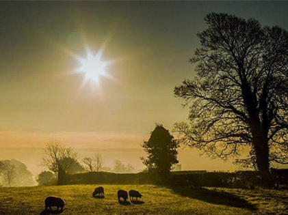 僅靠通風換氣去除甲醛？這樣入住很危險哦！