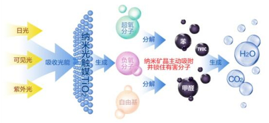 洋蔥可以除甲醛？民間流傳土方法可信嗎？