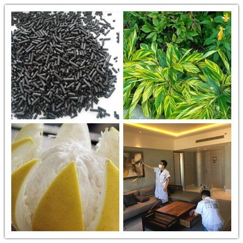 新房除甲醛，您一定不會失手！