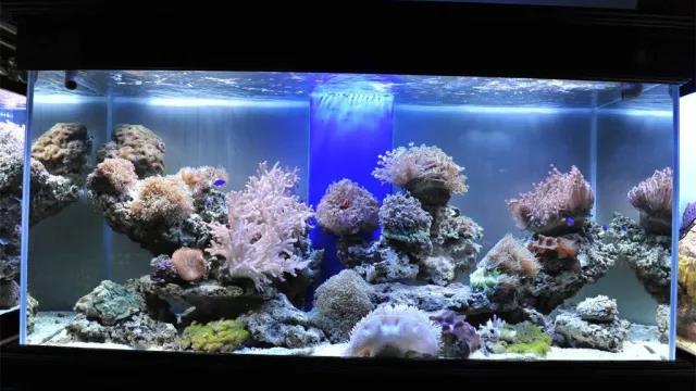 家中旺位和衰位在哪里？三分鐘學(xué)習(xí)室內(nèi)風(fēng)水學(xué)