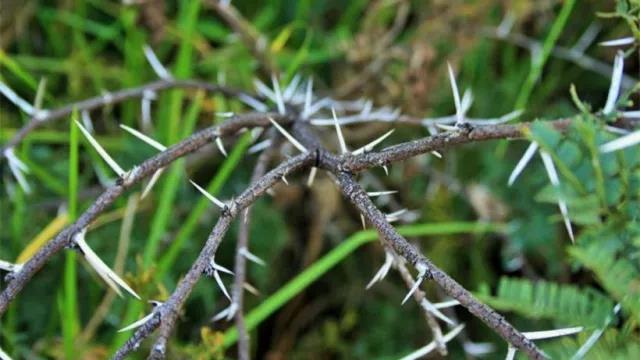 家中旺位和衰位在哪里？三分鐘學(xué)習(xí)室內(nèi)風(fēng)水學(xué)