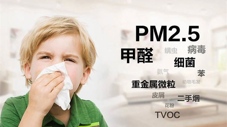 誰說二手車沒有甲醛？汽車除甲醛最有效方法告訴您