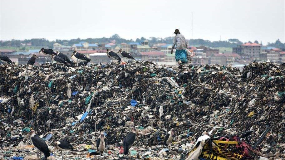 健康四月，環(huán)保政策搶先看！