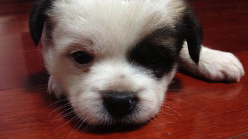 床墊薄膜要撕嗎？不僅要撕還要除甲醛！