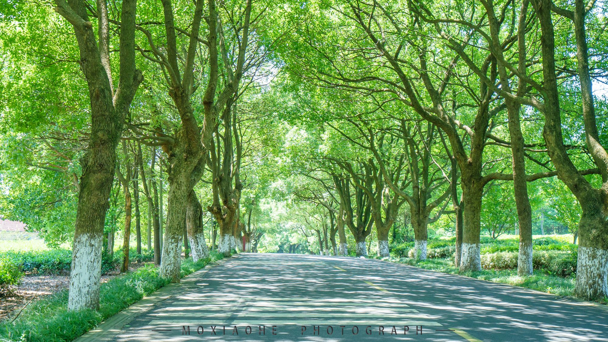 #助力高考# 保存好你的高考準(zhǔn)考證，創(chuàng)綠家送您安“醛”一夏！