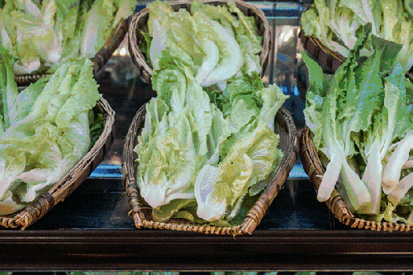 夏至高溫預(yù)警！消暑養(yǎng)生秘笈了解一下？