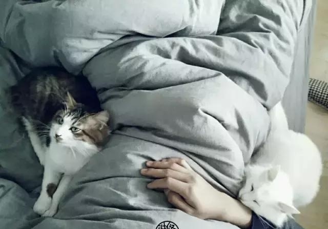 21天3000元重裝出租屋 除甲醛莫忘記！