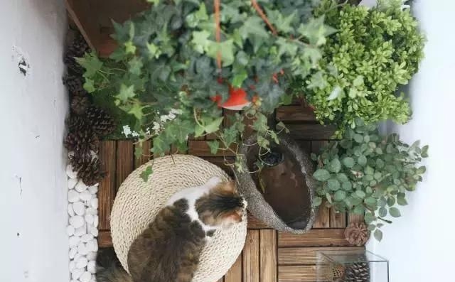 21天3000元重裝出租屋 除甲醛莫忘記！