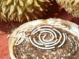 成分中有甲醛蚊香立馬變毒香，甚至還會(huì)致癌……