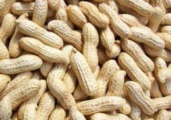 水煮花生含甲醛？實測多家燒烤店結果太可怕！