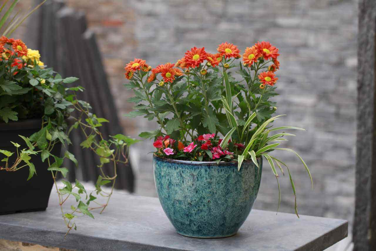 你認(rèn)為網(wǎng)上最正確的除甲醛方法是那個？