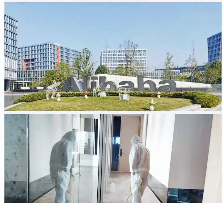 吾志所向，一往無前 | 創(chuàng)綠家2020年大事記