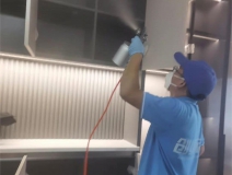 偏方真的能除甲醛嗎？