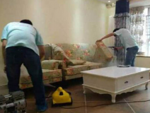 除甲醛公司需要具備哪些實(shí)力？