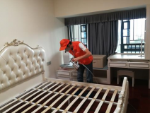 室內(nèi)除甲醛怎樣提高質(zhì)量？