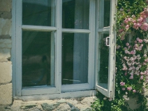 你認(rèn)為網(wǎng)上最正確的除甲醛方法是那個(gè)？