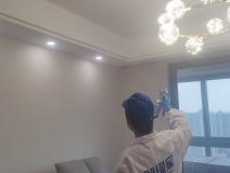 偏方真的能除甲醛嗎？