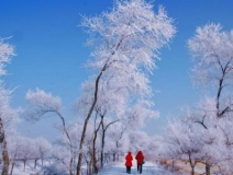 如何解決冬季室內(nèi)和車內(nèi)環(huán)境污染問題的問題呢？