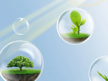 這些甲醛的危害你知道嗎？