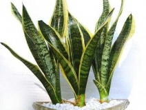 光觸媒是什么、原理及其作用