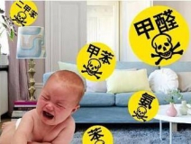 光觸媒除甲醛價(jià)格怎么樣？貴不貴？