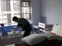 除甲醛公司哪個比較靠譜？