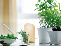 如何選擇一家靠譜的除甲醛公司？