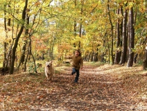 為什么秋季裝修異味這么重？甲醛超標(biāo)怎么辦