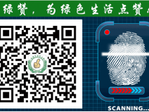 萬萬沒想到！床品上也會有甲醛污染