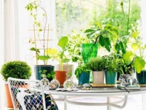 90%的家庭都甲醛超標(biāo)？所以要盡快找一家專業(yè)的除甲醛公司