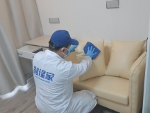 偏方真的能除甲醛嗎？