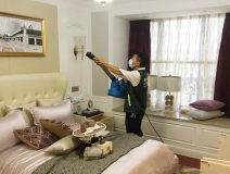 除甲醛公司哪家好，創(chuàng)綠家更專業(yè)