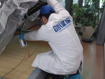 有哪些高效的除甲醛方法？