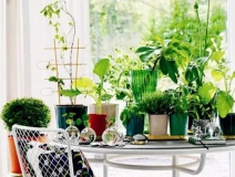 多數(shù)業(yè)主家庭裝修“偽環(huán)保” 您被中招了嗎？