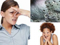 家里有異味怎么辦？科學(xué)除味、治理甲醛就對(duì)了！