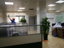 除甲醛公司選擇的要求有哪些？