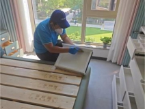 如何有效地除甲醛？