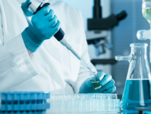 綠植真的能除甲醛嗎？