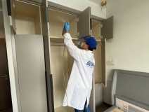 偏方真的能除甲醛嗎？