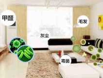 網(wǎng)上的除甲醛好辦法真的有效嗎？原理是什么